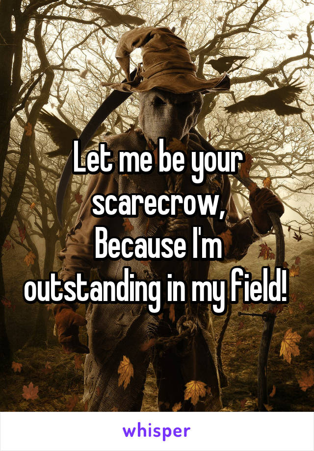 Let me be your scarecrow,
Because I'm outstanding in my field! 
