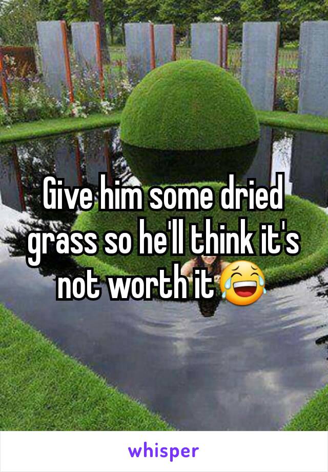 Give him some dried grass so he'll think it's not worth it😂