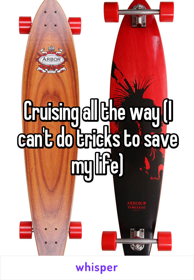 Cruising all the way (I can't do tricks to save my life)
