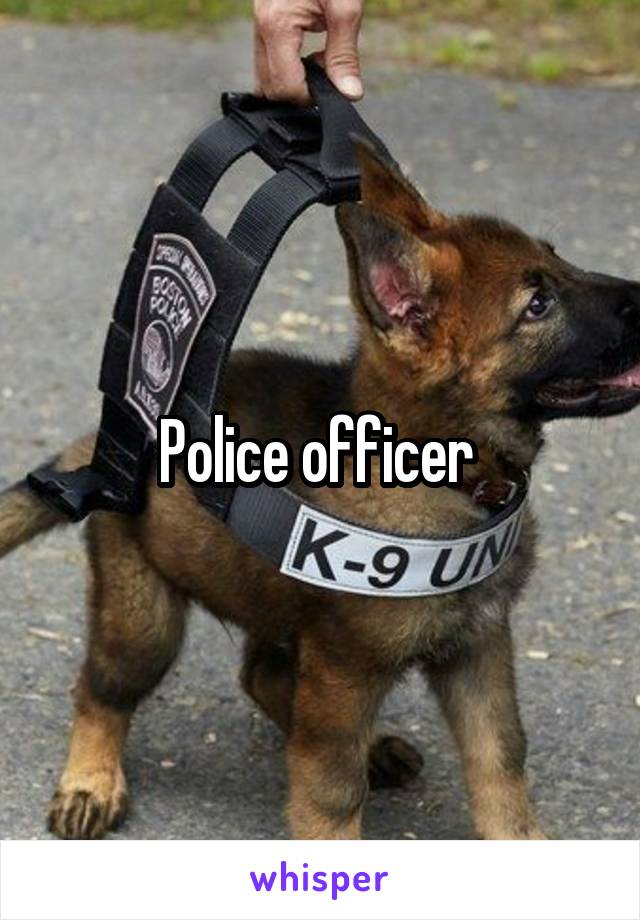 Police officer 