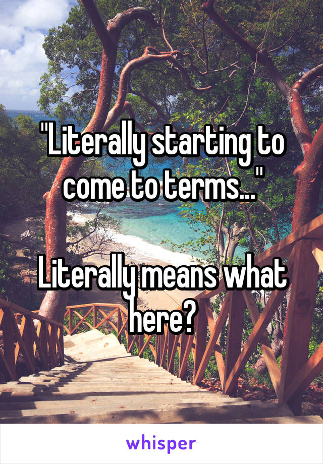 "Literally starting to come to terms..."

Literally means what here?