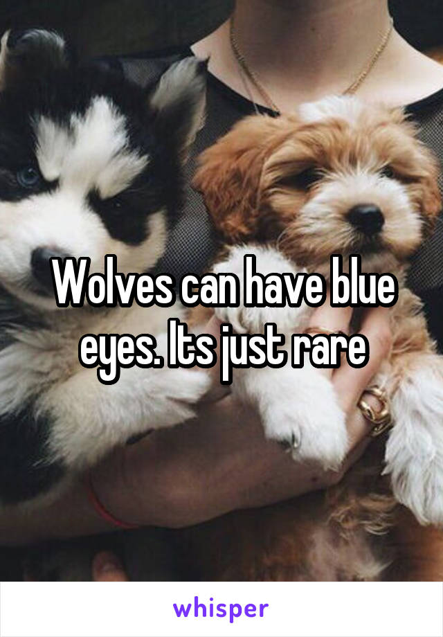 Wolves can have blue eyes. Its just rare