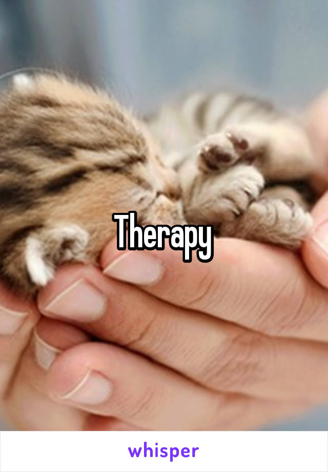 Therapy 