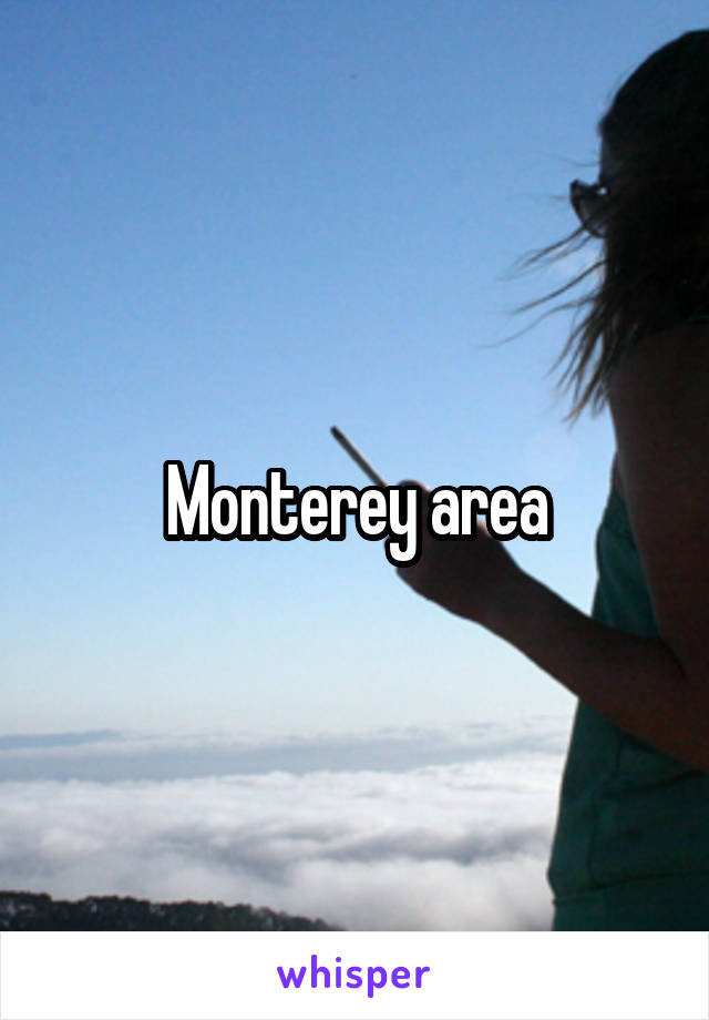 Monterey area