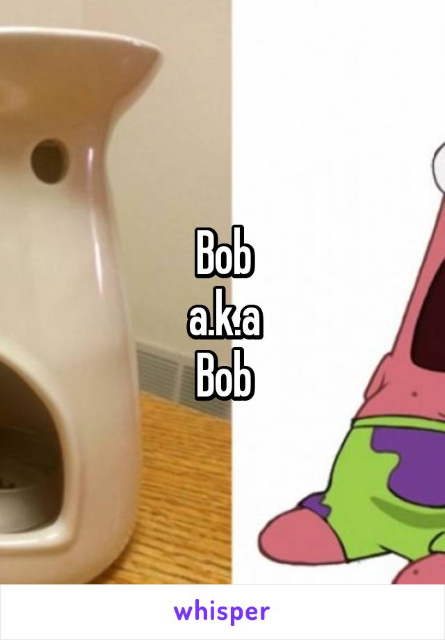 Bob
a.k.a
Bob