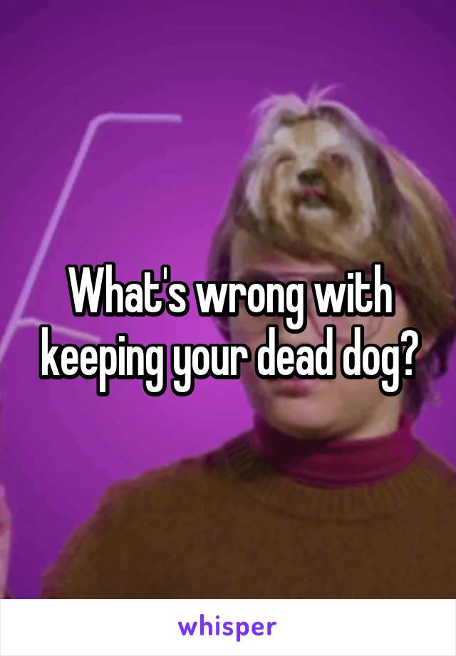 What's wrong with keeping your dead dog?