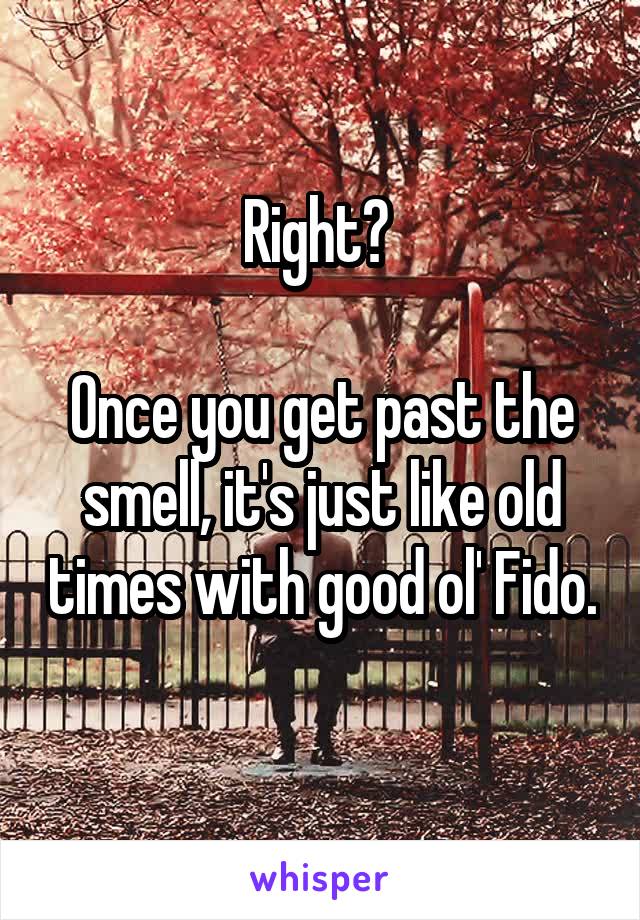 Right? 

Once you get past the smell, it's just like old times with good ol' Fido. 