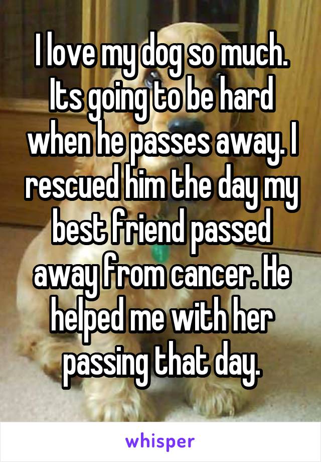 I love my dog so much. Its going to be hard when he passes away. I rescued him the day my best friend passed away from cancer. He helped me with her passing that day.
