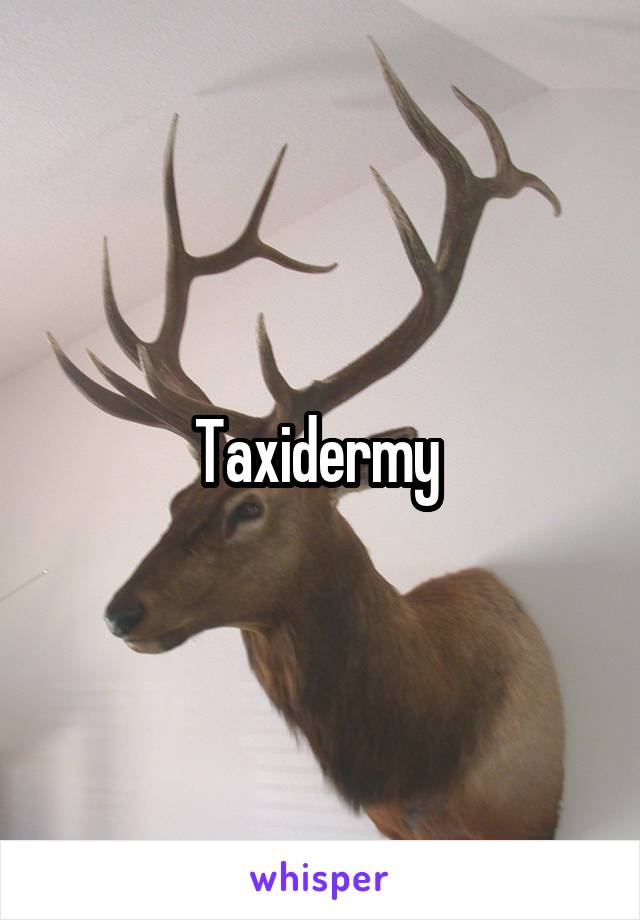 Taxidermy 