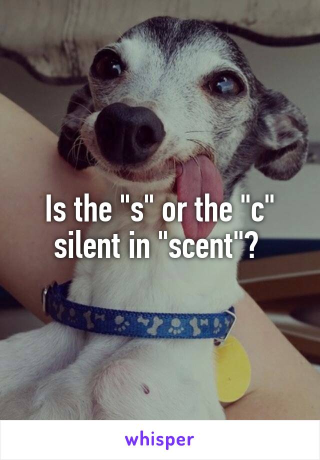 Is the "s" or the "c" silent in "scent"? 