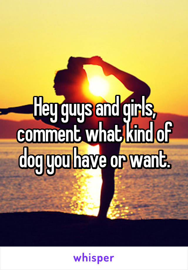 Hey guys and girls, comment what kind of dog you have or want.