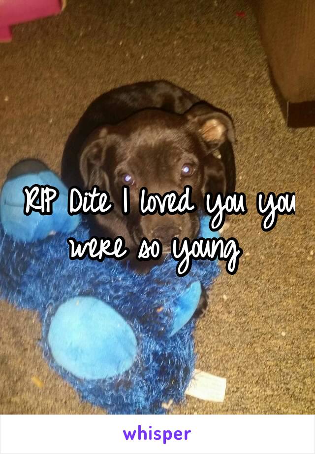 RIP Dite I loved you you were so young 