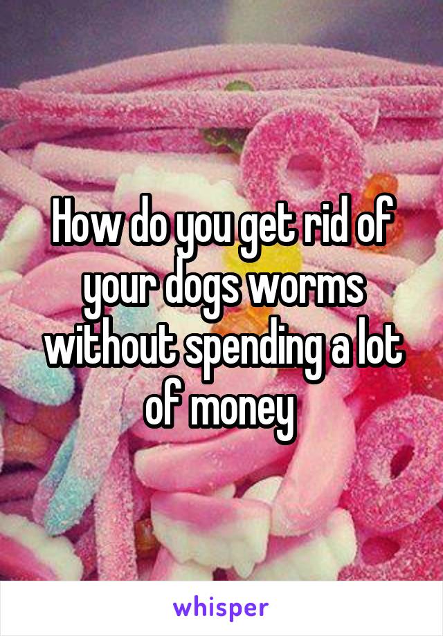 How do you get rid of your dogs worms without spending a lot of money 