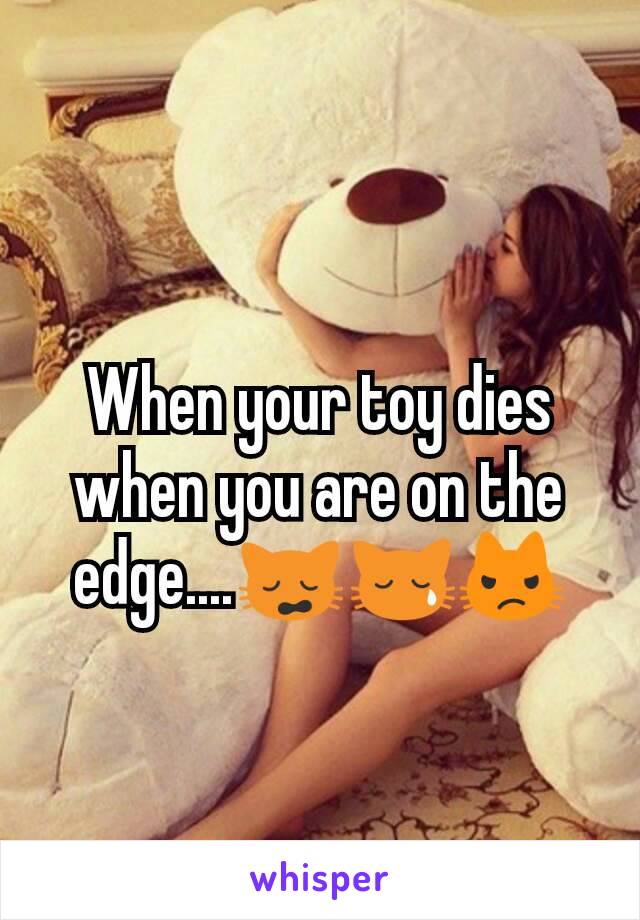 When your toy dies when you are on the edge....🙀😿😾