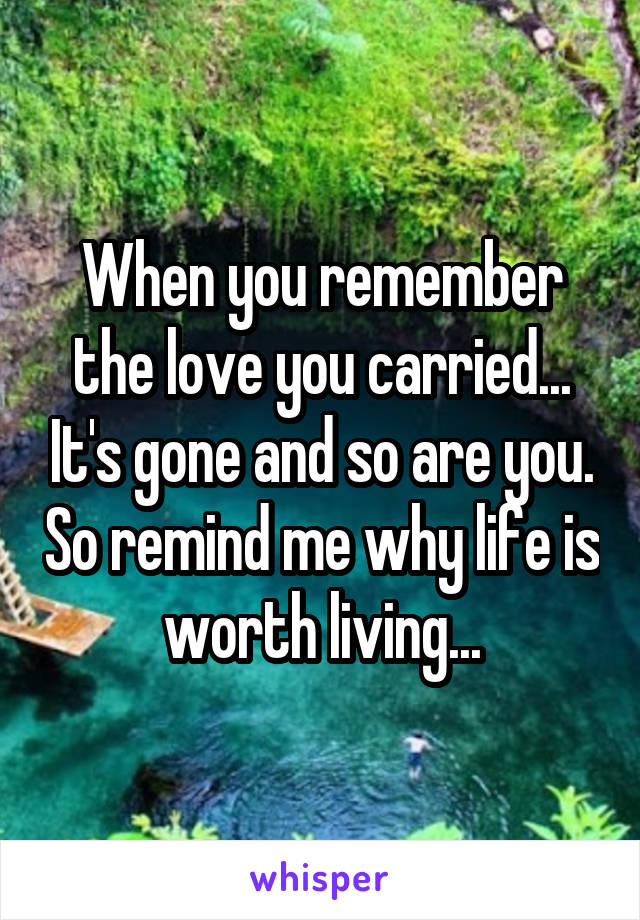 When you remember the love you carried... It's gone and so are you. So remind me why life is worth living...