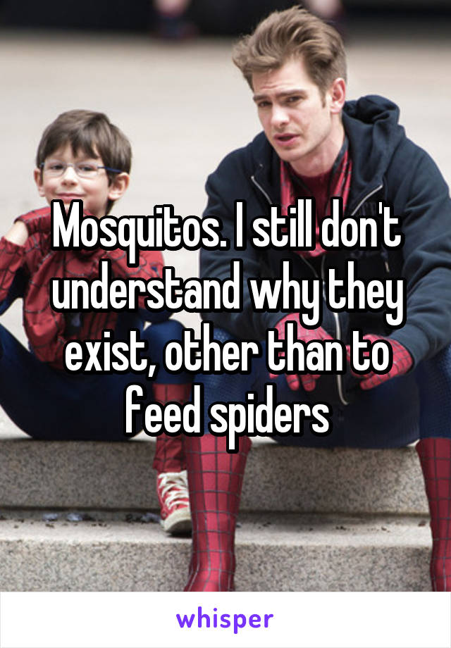 Mosquitos. I still don't understand why they exist, other than to feed spiders