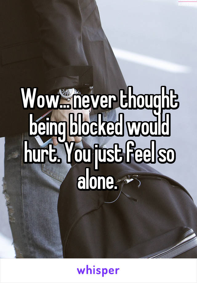 Wow... never thought being blocked would hurt. You just feel so alone. 