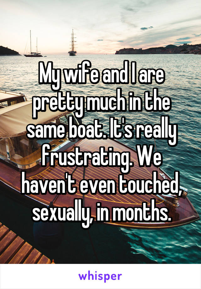 My wife and I are pretty much in the same boat. It's really frustrating. We haven't even touched, sexually, in months.