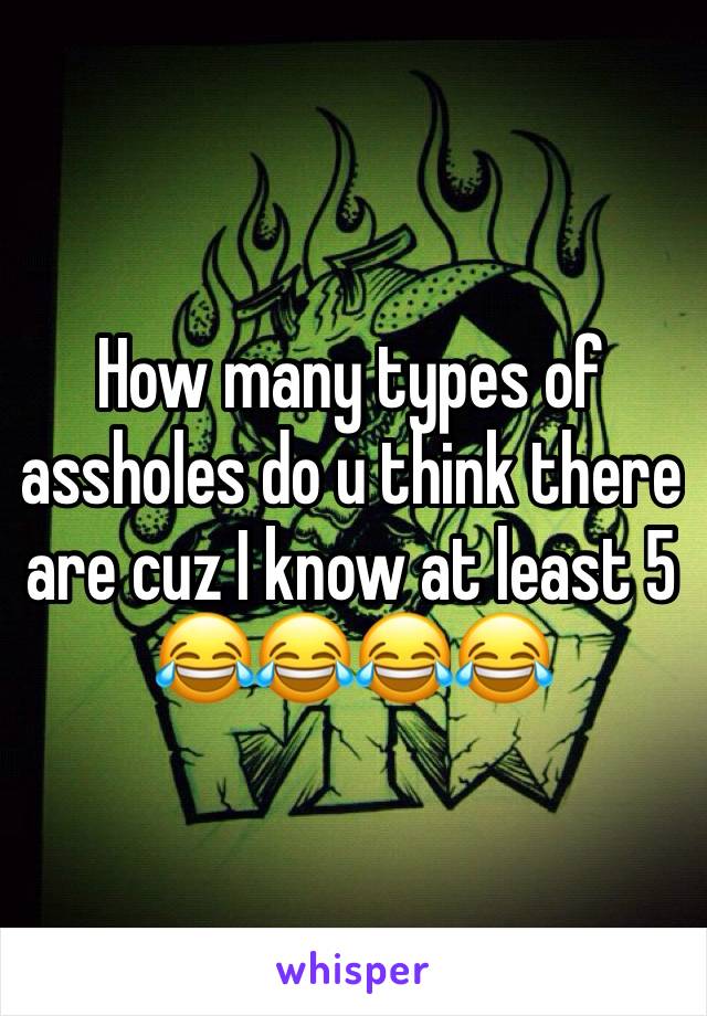 How many types of assholes do u think there are cuz I know at least 5 😂😂😂😂