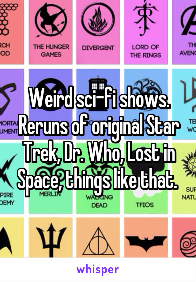 Weird sci-fi shows. Reruns of original Star Trek, Dr. Who, Lost in Space, things like that. 