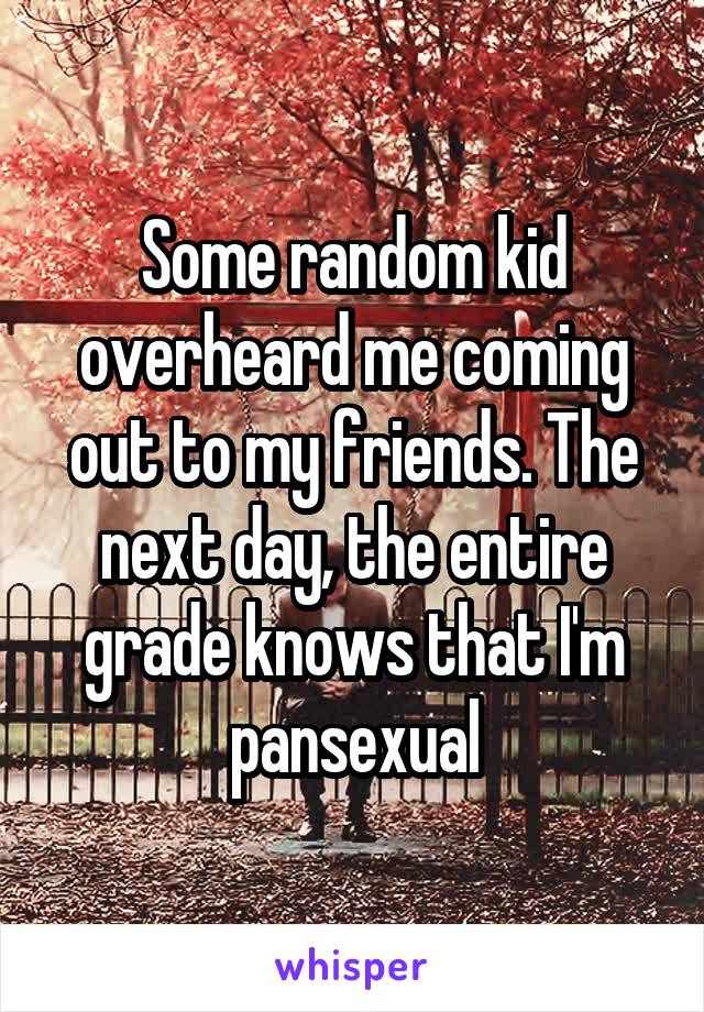 Some random kid overheard me coming out to my friends. The next day, the entire grade knows that I'm pansexual