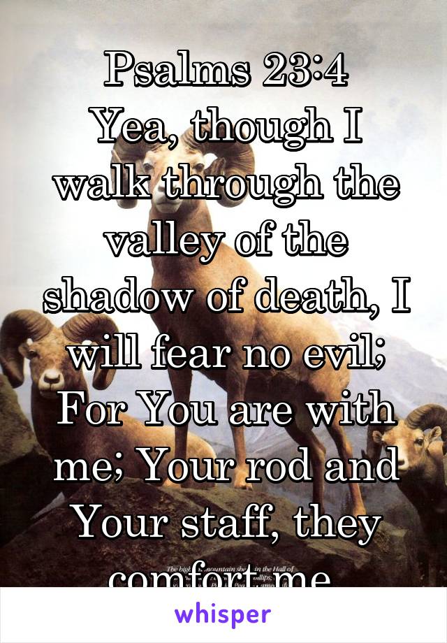 Psalms 23:4
Yea, though I walk through the valley of the shadow of death, I will fear no evil; For You are with me; Your rod and Your staff, they comfort me.
