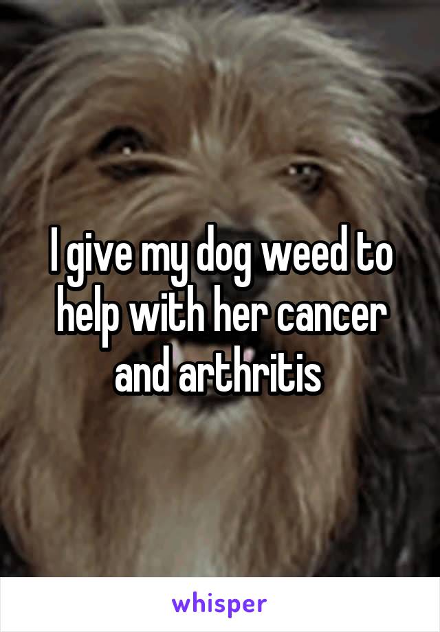 I give my dog weed to help with her cancer and arthritis 