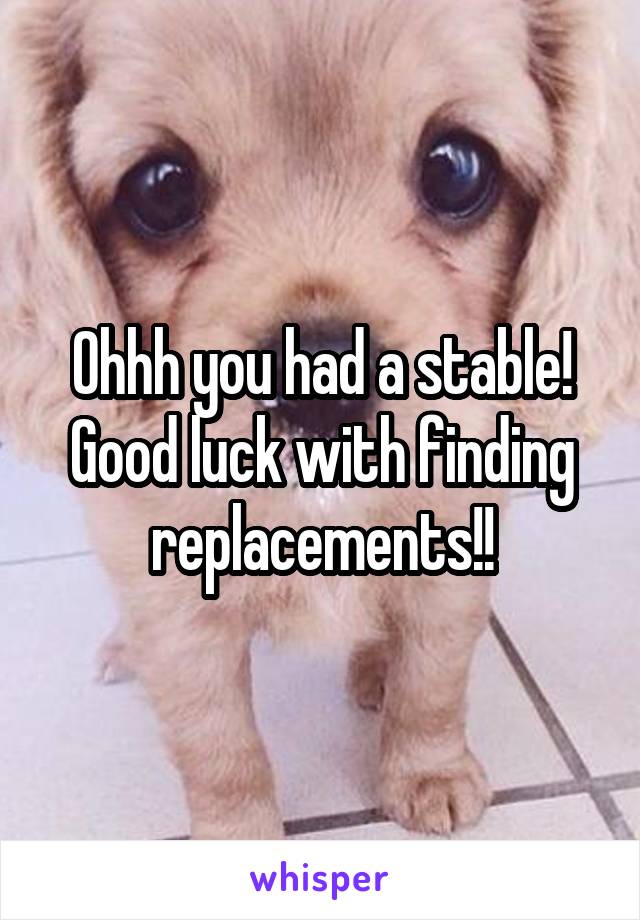 Ohhh you had a stable!
Good luck with finding replacements!!