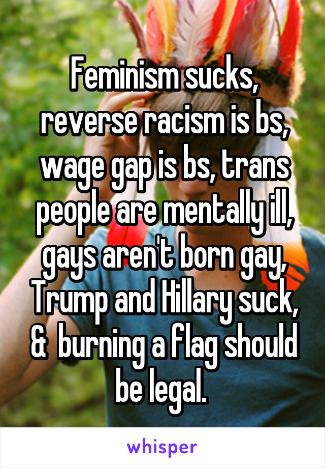 Feminism sucks, reverse racism is bs, wage gap is bs, trans people are mentally ill, gays aren't born gay, Trump and Hillary suck, &  burning a flag should be legal. 