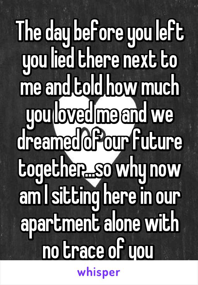 The day before you left you lied there next to me and told how much you loved me and we dreamed of our future together...so why now am I sitting here in our apartment alone with no trace of you 