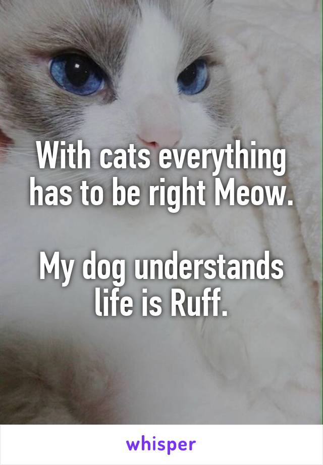 With cats everything has to be right Meow.

My dog understands life is Ruff.