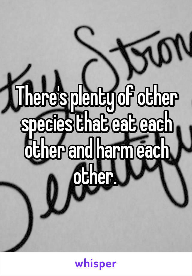 There's plenty of other species that eat each other and harm each other. 
