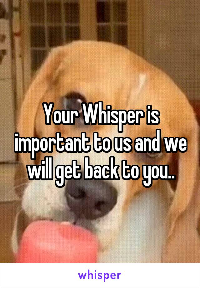 Your Whisper is important to us and we will get back to you..