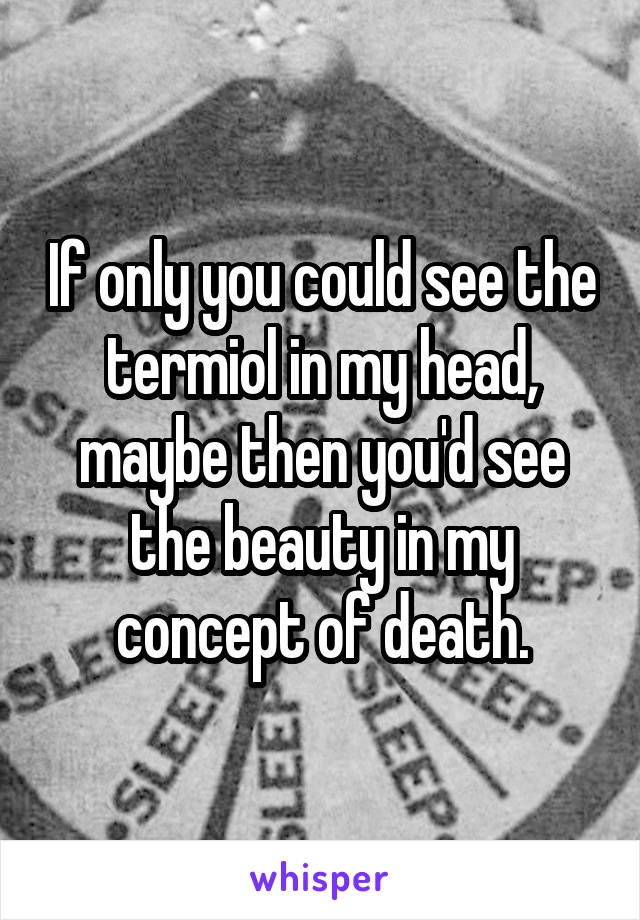 If only you could see the termiol in my head, maybe then you'd see the beauty in my concept of death.