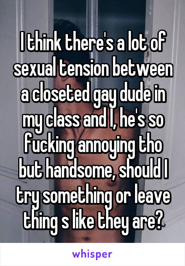 I think there's a lot of sexual tension between a closeted gay dude in my class and I, he's so fucking annoying tho but handsome, should I try something or leave thing s like they are?