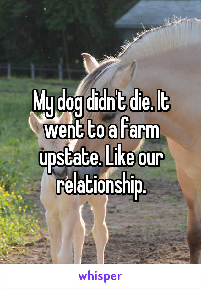 My dog didn't die. It went to a farm upstate. Like our relationship.