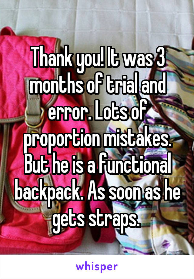 Thank you! It was 3 months of trial and error. Lots of proportion mistakes. But he is a functional backpack. As soon as he gets straps. 