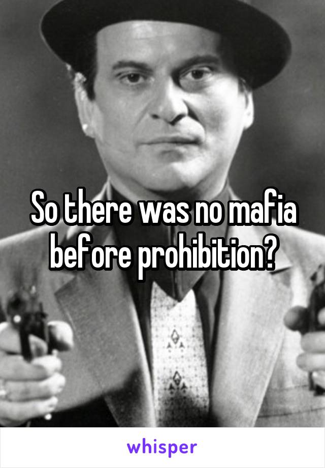 So there was no mafia before prohibition?