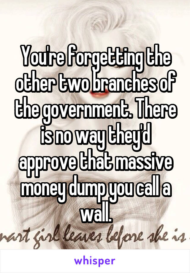 You're forgetting the other two branches of the government. There is no way they'd approve that massive money dump you call a wall.