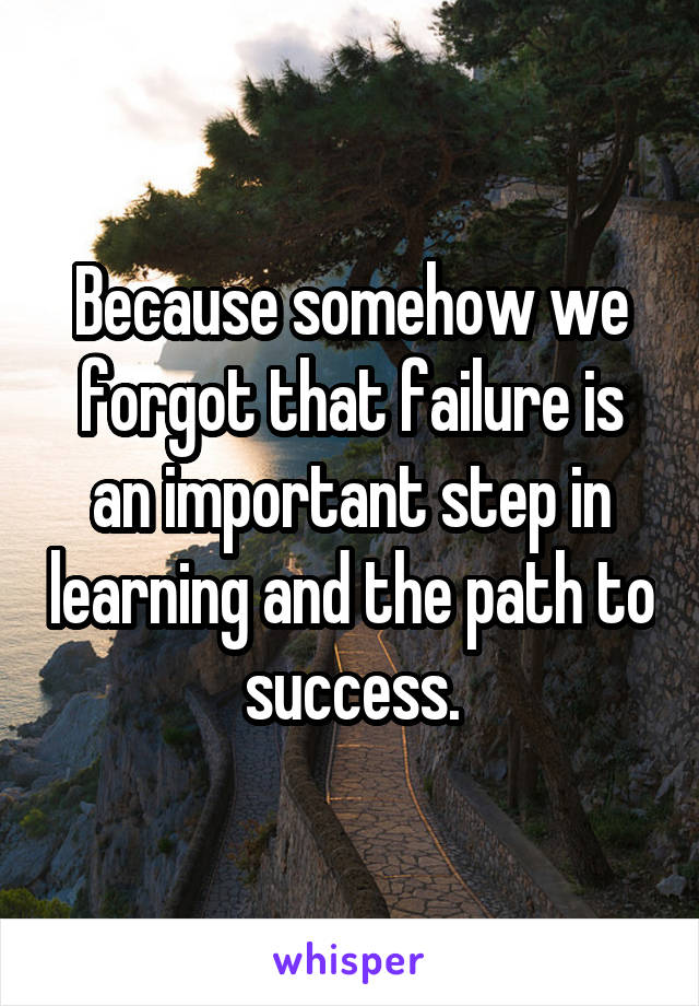 Because somehow we forgot that failure is an important step in learning and the path to success.