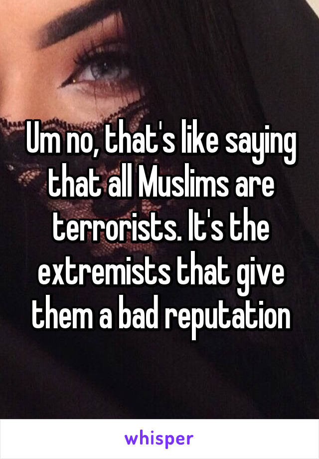 Um no, that's like saying that all Muslims are terrorists. It's the extremists that give them a bad reputation