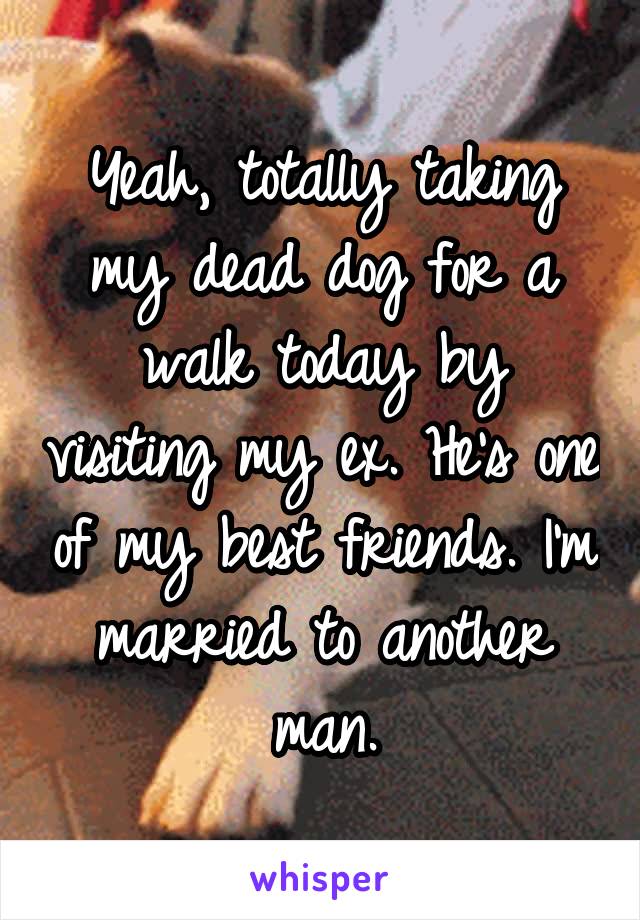 Yeah, totally taking my dead dog for a walk today by visiting my ex. He's one of my best friends. I'm married to another man.