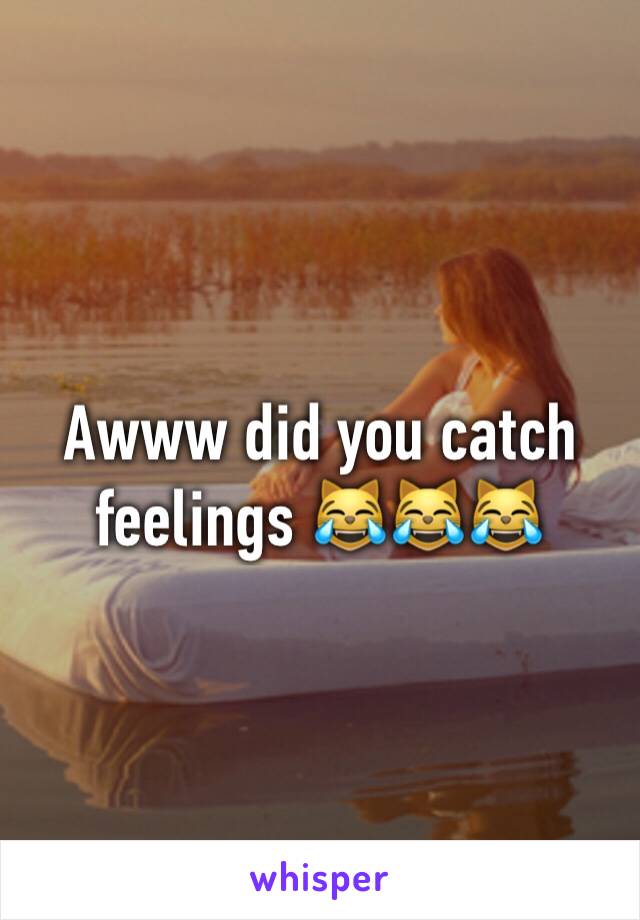 Awww did you catch feelings 😹😹😹
