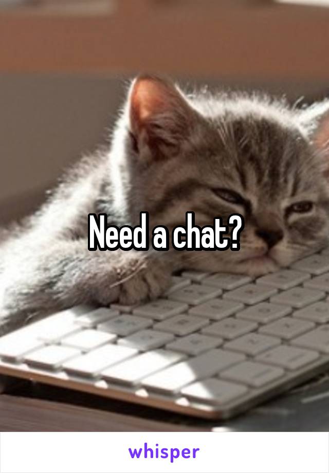 Need a chat?