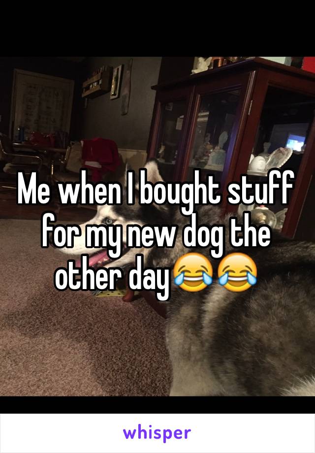 Me when I bought stuff for my new dog the other day😂😂