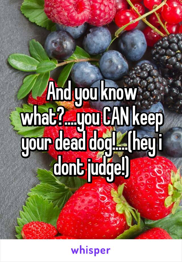 And you know what?....you CAN keep your dead dog!....(hey i dont judge!)