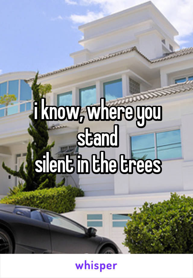 i know, where you stand
silent in the trees