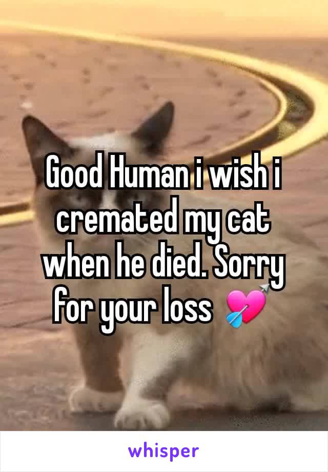 Good Human i wish i cremated my cat when he died. Sorry for your loss 💘