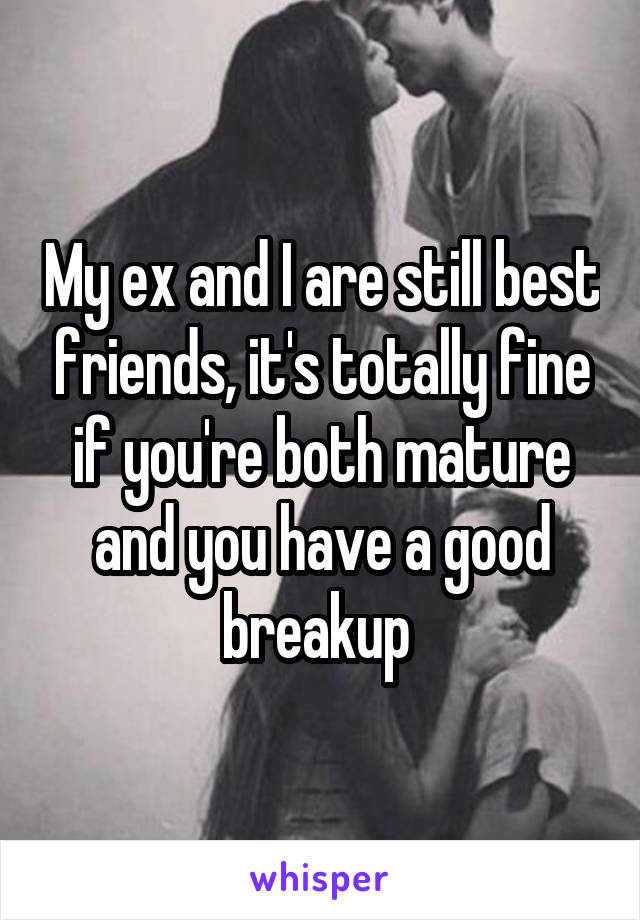 My ex and I are still best friends, it's totally fine if you're both mature and you have a good breakup 