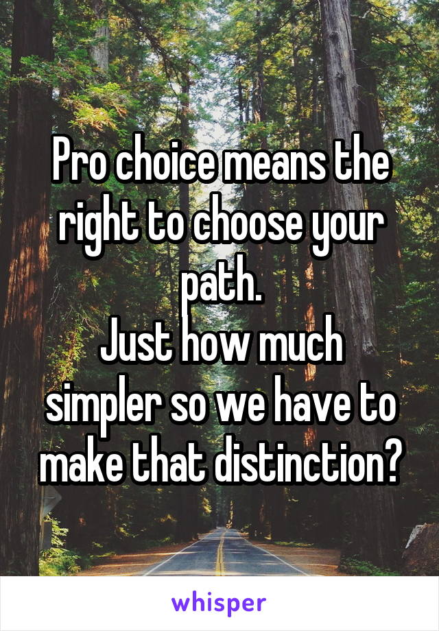 Pro choice means the right to choose your path.
Just how much simpler so we have to make that distinction?